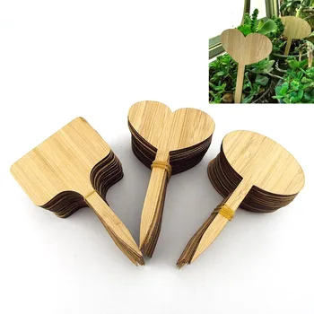 Т-образные этикетки для бамбуковых растений, экологически чистые деревянные бирки с цветами и овощами, садовые маркеры, инструменты для горшков, комнатные травы, цветы.